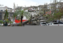 飓风“奥蒂斯”致墨西哥48人死亡