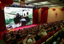 比利时天堂动物园创始人讲述中国故事