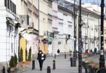 波兰总统:同乌克兰没有外交冲突 维护本国农民利益优先