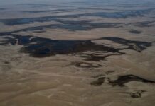 巴西大旱 亚马孙河水位降至百多年来最低