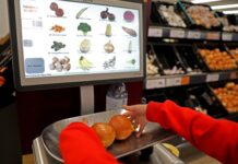 新研究显示人脑辨认食物只需108毫秒