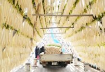 日本部分蔬菜价格飙升 接近往年三倍