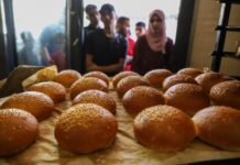 联合国机构:加沙地带80%人口依靠国际援助