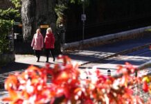 鼓励人际交往 瑞典小城发起“打招呼”活动