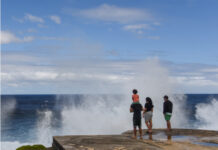 世界气象组织预计本次厄尔尼诺事件将持续至明年4月