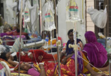 孟加拉国今年以来逾1500人死于登革热 确诊超30万例