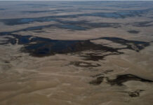 探访因严重干旱危机重重的亚马孙雨林