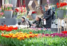 综述:荷兰人捂紧“钱袋子”过节