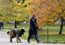 研究显示独处或助缓解压力