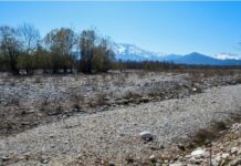 《全球干旱概况》:全球干旱已达前所未有的紧急状况