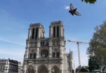 法国总统:巴黎圣母院将于2024年12月8日开放