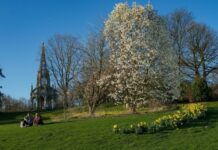 新研究:适当独处有利于缓解压力