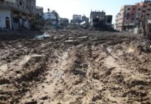 联合国援巴机构员工被指参与袭击以色列 多国暂停出资