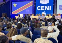 齐塞克迪连任刚果(金)总统