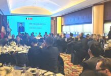 中比经贸合作“机遇广阔”