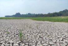联合国机构:全球约四分之一人口面临干旱