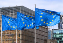 欧盟多国支持在红海成立海军特派团