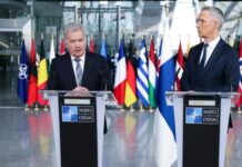 芬兰或在与俄罗斯边境增设围栏