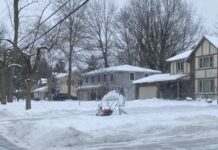 美国严寒天气过去一周致死83人