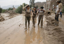 秘鲁大部分地区因登革热进入卫生紧急状态