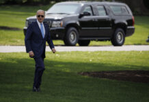 拜登和特朗普分别在密歇根州两党初选中胜出