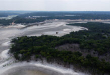 巴西亚马孙地区本月发生近3000起林火创纪录