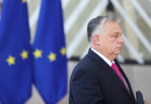 美大使下场“督战” 匈国会仍未就瑞典入北约表决