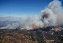 热点问答|智利林火伤亡缘何如此惨重