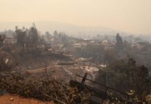 智利林火仍有300多人生死不明