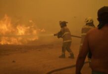 智利林火终被扑灭 起火原因仍在调查