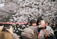 更多日本女性倾向于情人节给自己买巧克力