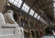 达尔文诞辰215周年 个人藏书馆首次“上线”