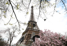 法国两男子用废木料打造缩小版埃菲尔铁塔