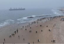 搁浅黄海的布鲁威斯号何以走红网络