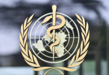 世卫:肺癌成为全球新增病例数最多癌症