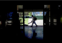 泛美卫生组织:今年以来美洲地区逾千人死于登革热