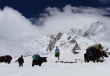 尼泊尔在珠峰攀登活动中引入定位芯片