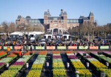 换心术后已生存近40年 荷兰男子创世界纪录