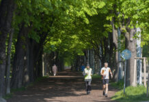 日行万步或可减轻久坐者健康风险