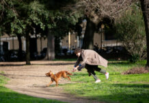意大利:遛狗不铲屎?DNA帮追责