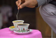 阿拉比卡咖啡树或起源于至少60万年前