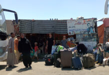 武装冲突以来苏丹已有391人死于霍乱和登革热