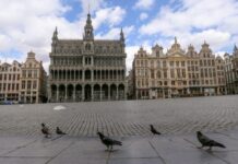 比利时男子“酒驾”被抓 竟是身体“自动酿酒”