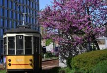 欧盟气候监测机构:全球经历有记录以来“最热4月”