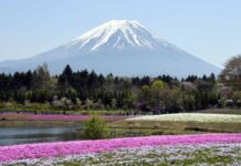 杜绝AI代写 日本一教育机构推出检查程序