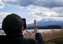 不堪游客打卡之扰 日本小镇拉网遮挡富士山景