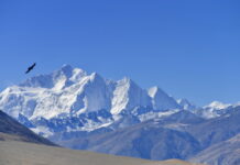 尼泊尔向导第30次登顶珠峰再创纪录