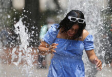 近期高温天气已致墨西哥40余人死亡