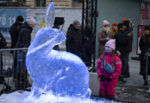 芬兰总和生育率创新低