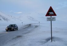 斯瓦尔巴全球种子库已存入129万份样本